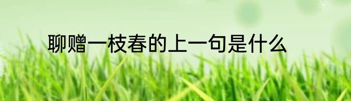 聊赠一枝春的上一句是什么