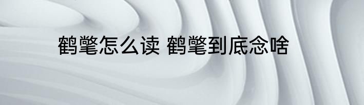 鹤氅怎么读 鹤氅到底念啥