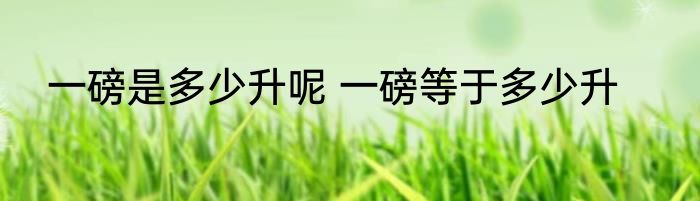 一磅是多少升呢 一磅等于多少升