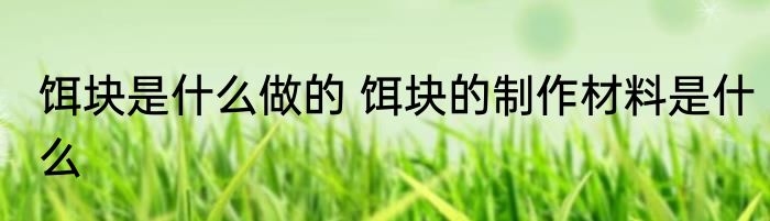 饵块是什么做的 饵块的制作材料是什么