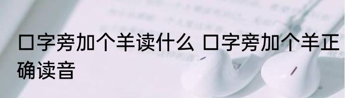 口字旁加个羊读什么 口字旁加个羊正确读音
