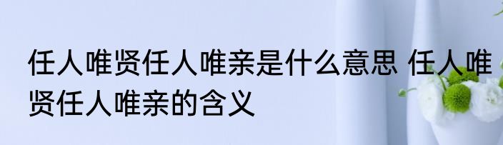 任人唯贤任人唯亲是什么意思 任人唯贤任人唯亲的含义