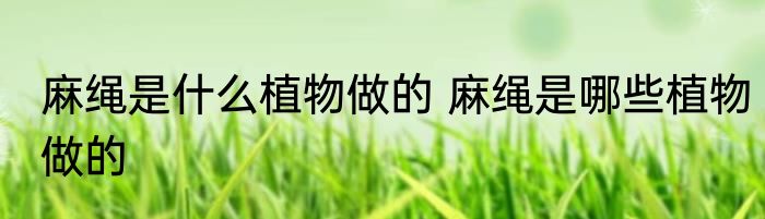 麻绳是什么植物做的 麻绳是哪些植物做的