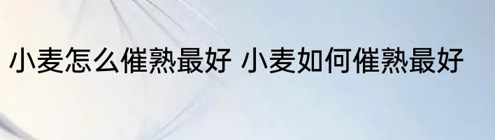小麦怎么催熟最好 小麦如何催熟最好