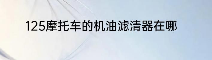 125摩托车的机油滤清器在哪