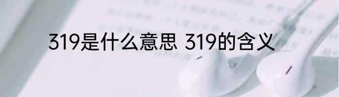 319是什么意思 319的含义