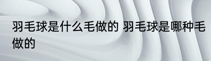 羽毛球是什么毛做的 羽毛球是哪种毛做的