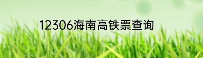 12306海南高铁票查询