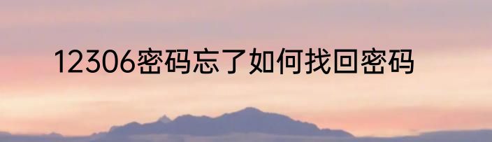 12306密码忘了如何找回密码