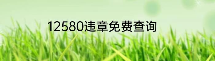 12580违章免费查询