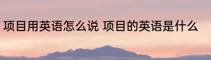项目用英语怎么说 项目的英语是什么