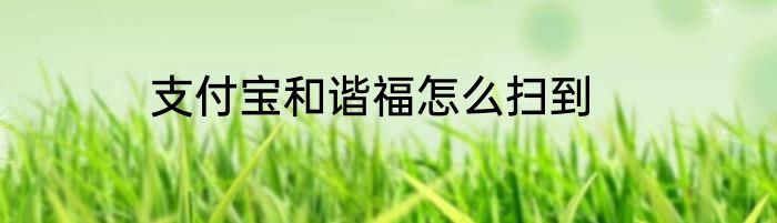 支付宝和谐福怎么扫到