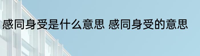 感同身受是什么意思 感同身受的意思