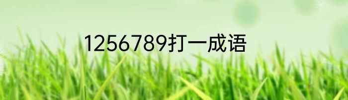 1256789打一成语