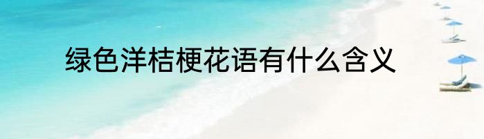绿色洋桔梗花语有什么含义