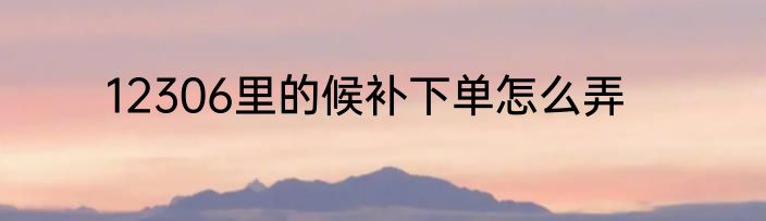 12306里的候补下单怎么弄