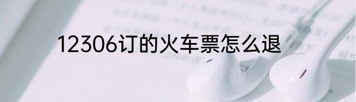 12306订的火车票怎么退