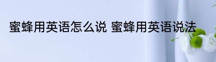 蜜蜂用英语怎么说 蜜蜂用英语说法