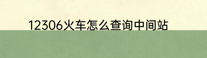 12306火车怎么查询中间站