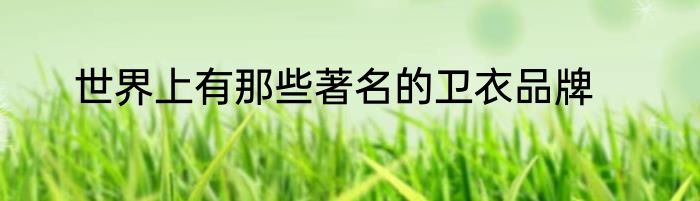 世界上有那些著名的卫衣品牌