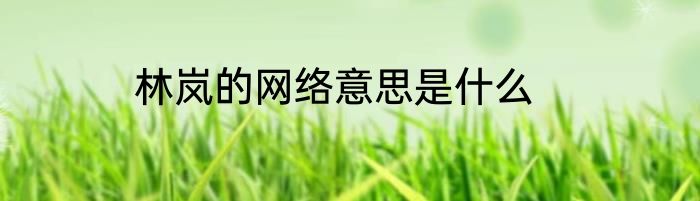 林岚的网络意思是什么