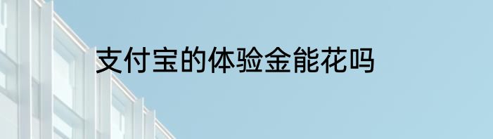 支付宝的体验金能花吗