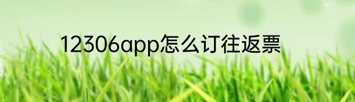 12306app怎么订往返票