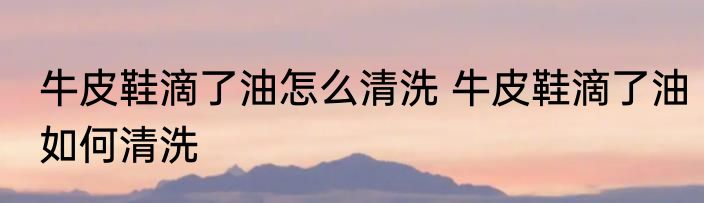 牛皮鞋滴了油怎么清洗 牛皮鞋滴了油如何清洗