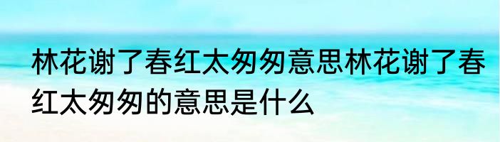 林花谢了春红太匆匆意思林花谢了春红太匆匆的意思是什么