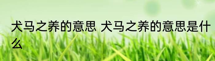 犬马之养的意思 犬马之养的意思是什么