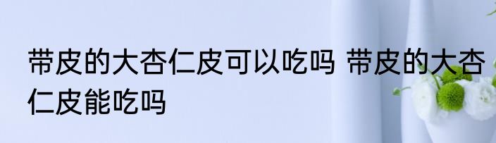 带皮的大杏仁皮可以吃吗 带皮的大杏仁皮能吃吗