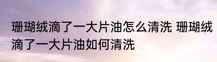 珊瑚绒滴了一大片油怎么清洗 珊瑚绒滴了一大片油如何清洗