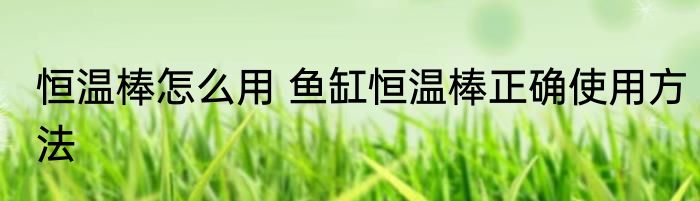 恒温棒怎么用 鱼缸恒温棒正确使用方法