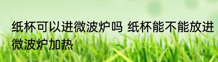 纸杯可以进微波炉吗 纸杯能不能放进微波炉加热