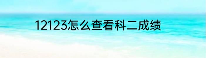 12123怎么查看科二成绩