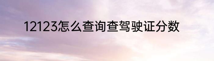 12123怎么查询查驾驶证分数