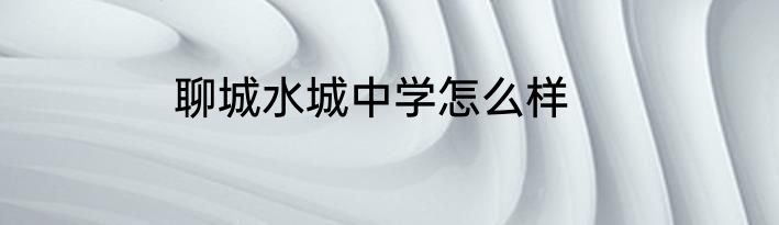 聊城水城中学怎么样