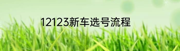 12123新车选号流程
