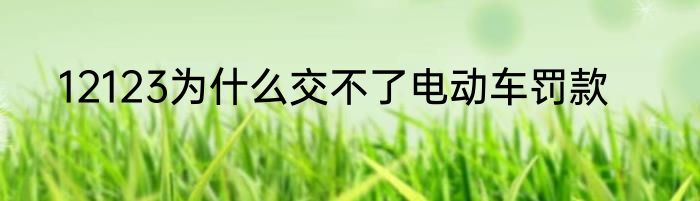 12123为什么交不了电动车罚款