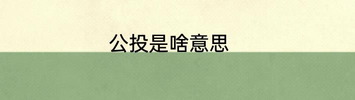 公投是啥意思