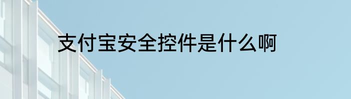 支付宝安全控件是什么啊