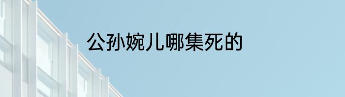 公孙婉儿哪集死的