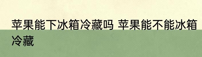 苹果能下冰箱冷藏吗 苹果能不能冰箱冷藏