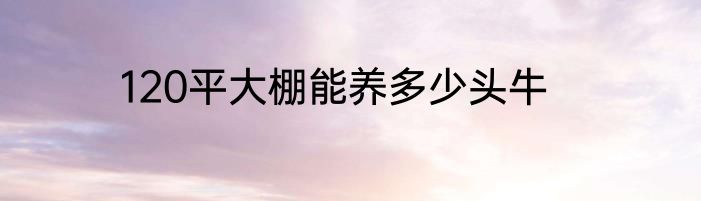 120平大棚能养多少头牛
