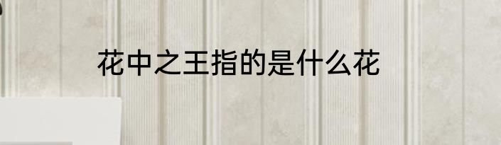 花中之王指的是什么花