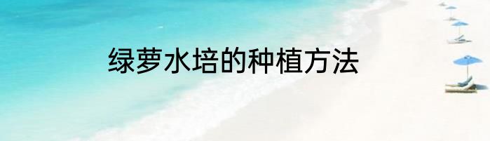 绿萝水培的种植方法