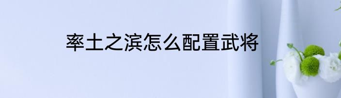 率土之滨怎么配置武将