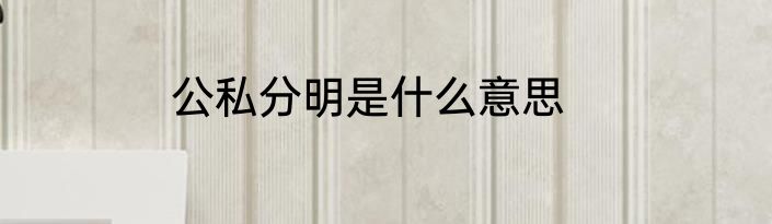 公私分明是什么意思