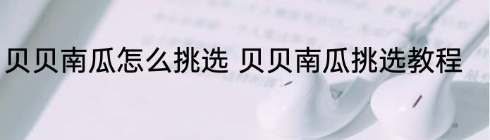 贝贝南瓜怎么挑选 贝贝南瓜挑选教程