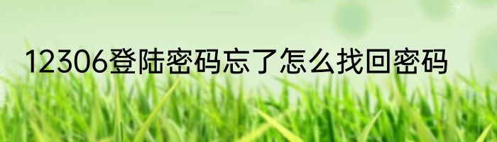 12306登陆密码忘了怎么找回密码